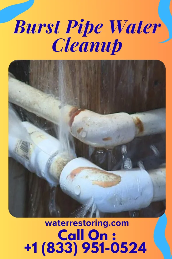 Burst Pipe Water Cleanup in Gray Court, SC