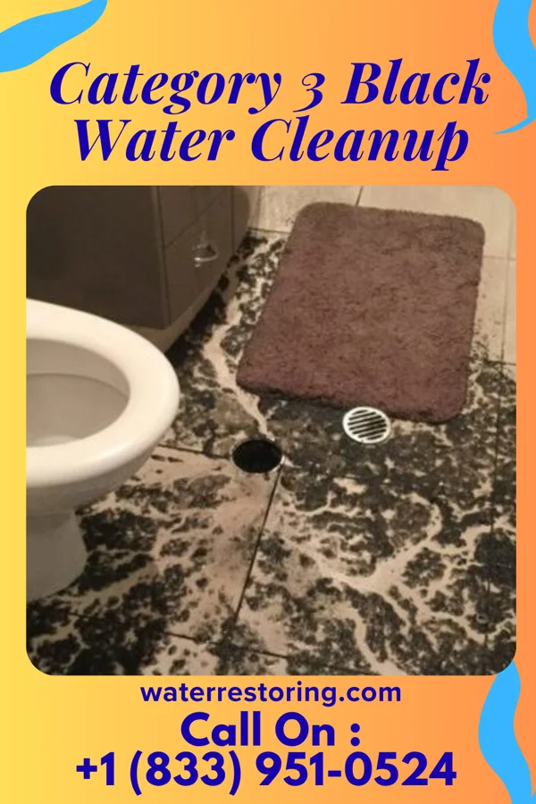Category 3 Black Water Cleanup in Gray Court, SC