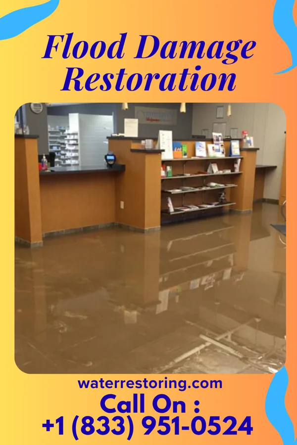 Flood Damage Restoration in Gray Court, SC