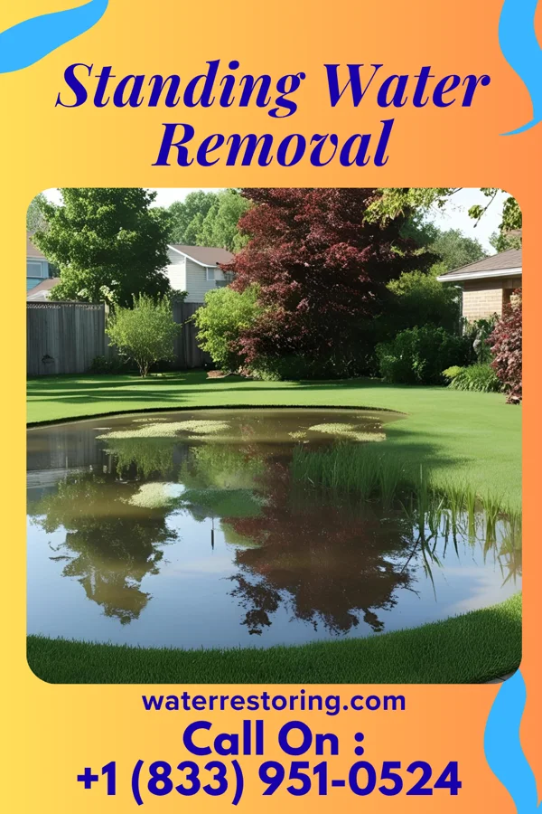 Standing Water Removal in Gray Court, SC